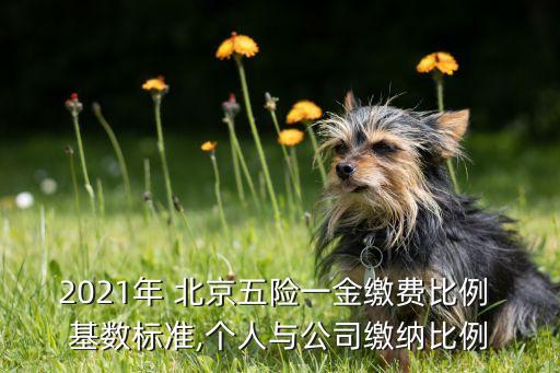 2021年 北京五險一金繳費比例 基數(shù)標(biāo)準(zhǔn),個人與公司繳納比例