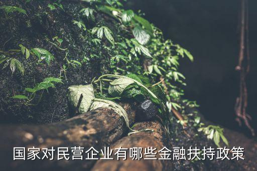 政府性擔(dān)?；?政府創(chuàng)業(yè)擔(dān)?；鹗菄业膯?/></a></span><span id=