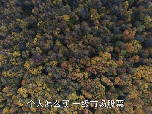 個(gè)人怎么買(mǎi) 一級(jí)市場(chǎng)股票