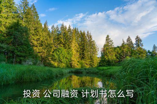 期貨公司支行計(jì)劃書(shū)