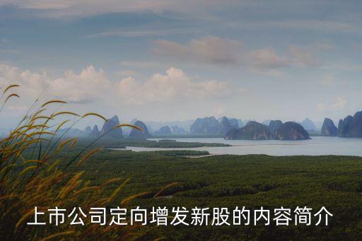 上市公司定向增發(fā)新股的內容簡介