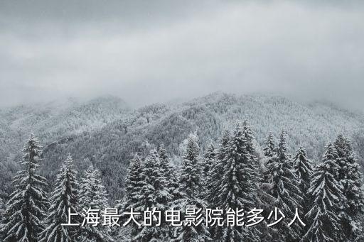 上?？梢匀菁{700人的報(bào)告廳