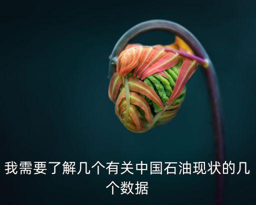 我需要了解幾個有關中國石油現(xiàn)狀的幾個數(shù)據(jù)