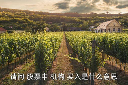 請問 股票中 機構 買入是什么意思