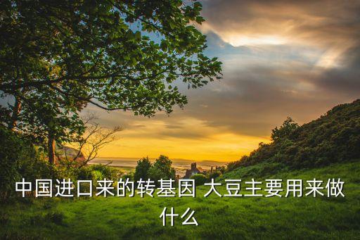 中國進口來的轉基因 大豆主要用來做什么
