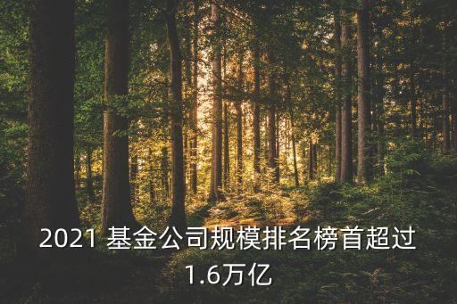 第八屆金?；鸺敖鹋；鸸精@獎名單