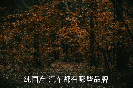 純國產(chǎn) 汽車都有哪些品牌