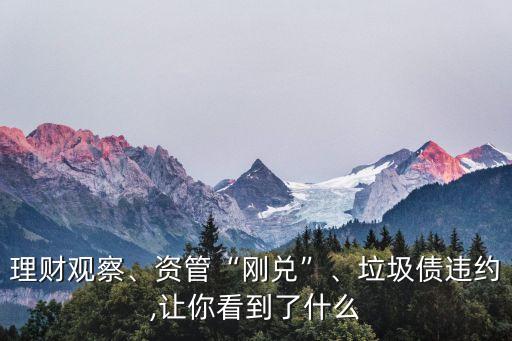 理財(cái)觀察、資管“剛兌”、垃圾債違約,讓你看到了什么