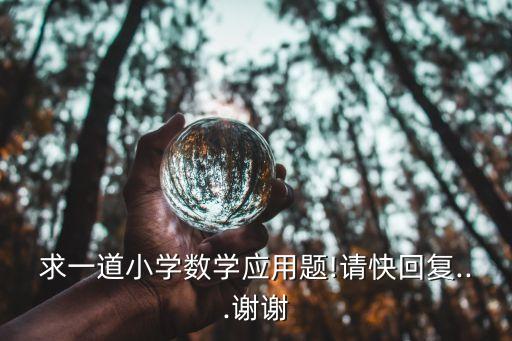 求一道小學數(shù)學應(yīng)用題!請快回復(fù)...謝謝
