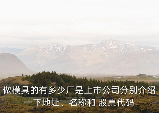做模具的有多少廠是上市公司分別介紹一下地址、名稱和 股票代碼