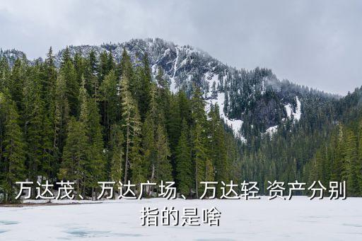 萬達茂、萬達廣場、萬達輕 資產(chǎn)分別指的是啥