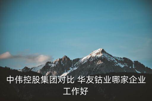 中偉控股集團(tuán)對比 華友鈷業(yè)哪家企業(yè)工作好