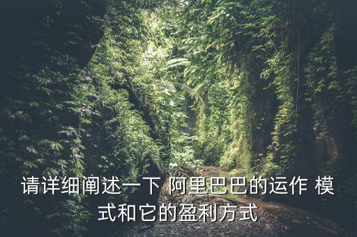 請詳細(xì)闡述一下 阿里巴巴的運(yùn)作 模式和它的盈利方式