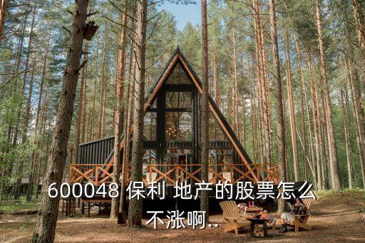 保利地產投資建議,對保利地產的建議