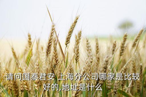 請(qǐng)問國(guó)泰君安 上海分公司哪家是比較好的,地址是什么