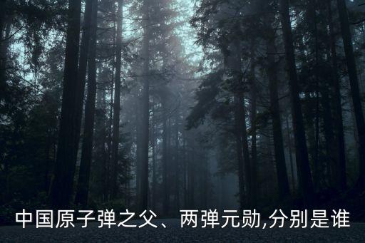 中國(guó)原子彈之父、兩彈元?jiǎng)?分別是誰