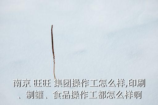 南京 旺旺 集團(tuán)操作工怎么樣,印刷、制罐、食品操作工都怎么樣啊
