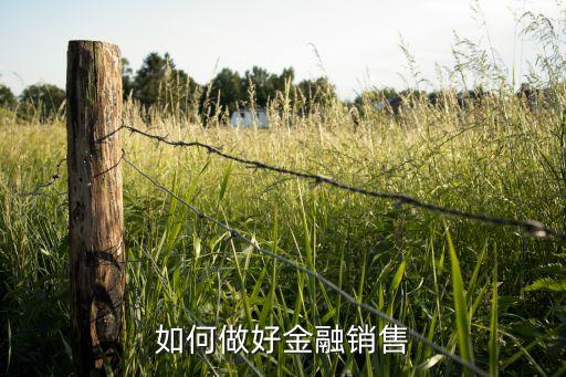 如何做好金融銷(xiāo)售