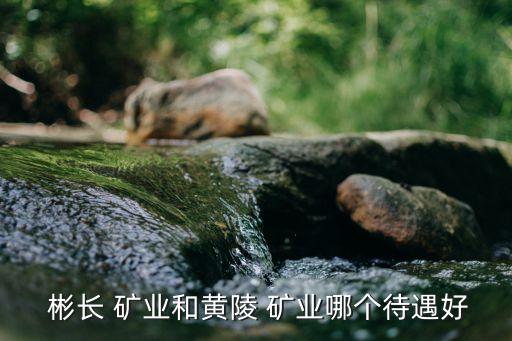 陜西彬長礦業(yè)集團有限公司煤化工公司,2、陜西彬長礦業(yè)集團有限公司