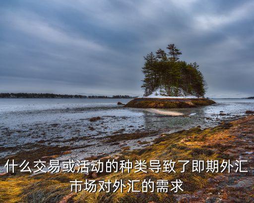 什么交易或活動(dòng)的種類導(dǎo)致了即期外匯市場對(duì)外匯的需求