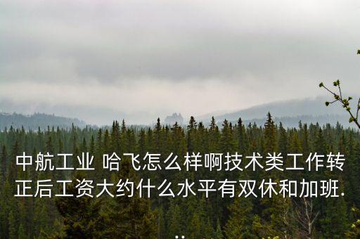 哈飛集團待遇,哈爾濱哈飛集團