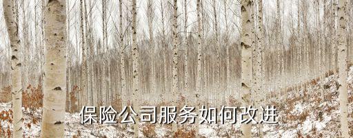 保險公司提升服務質量