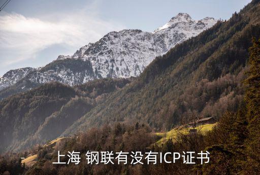  上海 鋼聯(lián)有沒(méi)有ICP證書(shū)