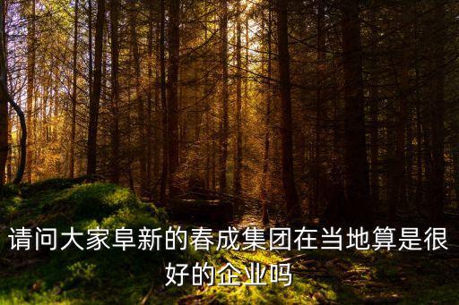 請問大家阜新的春成集團在當地算是很好的企業(yè)嗎