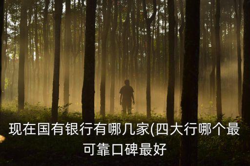 現在國有銀行有哪幾家(四大行哪個最可靠口碑最好