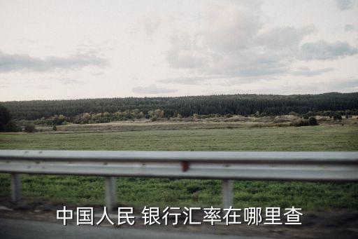 怎樣看銀行外匯牌價(jià),中國(guó)各大銀行外匯牌價(jià)對(duì)比一覽表
