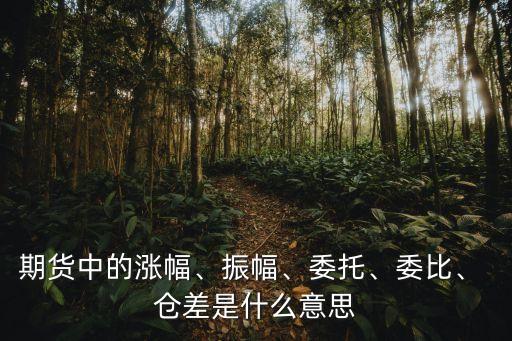 期貨中的漲幅、振幅、委托、委比、 倉(cāng)差是什么意思