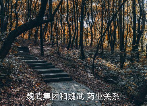 魏武集團和魏武 藥業(yè)關系