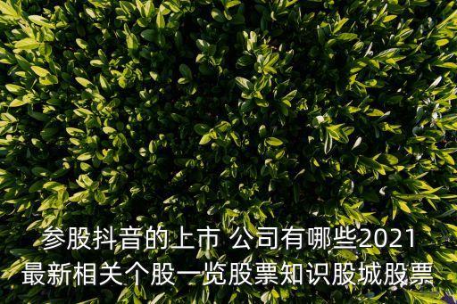 參股抖音的上市 公司有哪些2021最新相關(guān)個(gè)股一覽股票知識股城股票