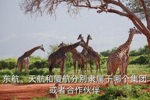 中國(guó)南方航空2014年國(guó)際國(guó)內(nèi)航線(xiàn)多少條