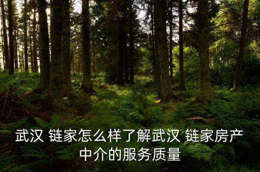 武漢 鏈家怎么樣了解武漢 鏈家房產中介的服務質量
