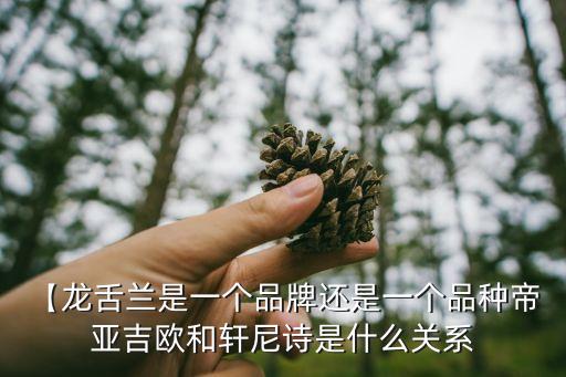 【龍舌蘭是一個品牌還是一個品種帝 亞吉歐和軒尼詩是什么關(guān)系