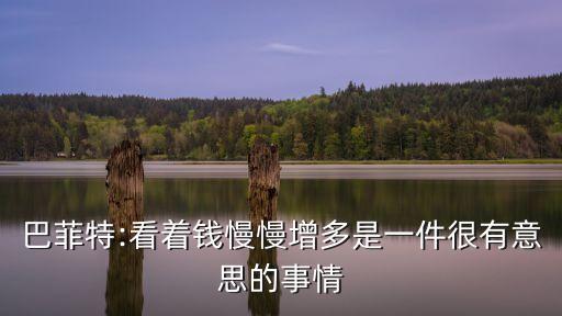 巴菲特:看著錢(qián)慢慢增多是一件很有意思的事情