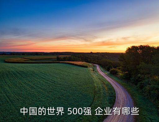 中國的世界 500強 企業(yè)有哪些