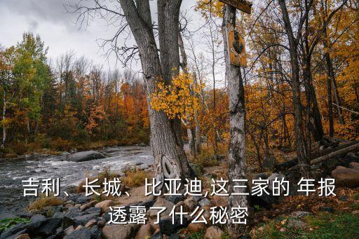 吉利、長城、比亞迪,這三家的 年報透露了什么秘密