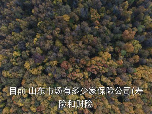 目前 山東市場有多少家保險(xiǎn)公司(壽險(xiǎn)和財(cái)險(xiǎn)