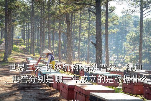 世界三大 評(píng)級(jí)機(jī)構(gòu):標(biāo)準(zhǔn)普爾、穆迪、惠譽(yù)分別是哪一年成立的是根據(jù)什么...