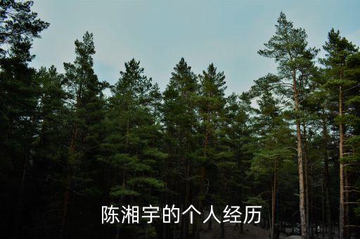  陳湘宇的個人經歷