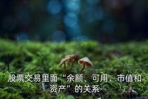  股票交易里面“余額、可用、市值和 資產(chǎn)”的關系