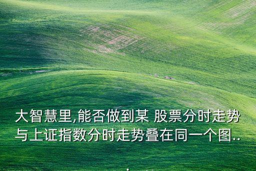 大智慧里,能否做到某 股票分時走勢與上證指數(shù)分時走勢疊在同一個圖...