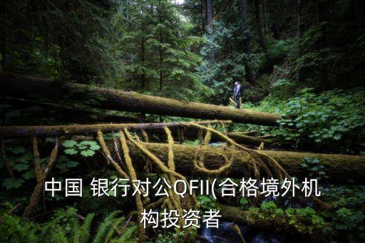 中國(guó) 銀行對(duì)公QFII(合格境外機(jī)構(gòu)投資者