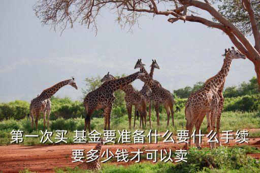 第一次買 基金要準備什么要什么手續(xù)要多少錢才可以賣