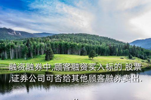 股票質(zhì)押實施細則