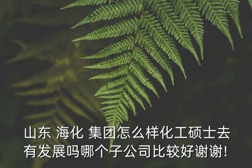  山東 ?；?集團怎么樣化工碩士去有發(fā)展嗎哪個子公司比較好謝謝!