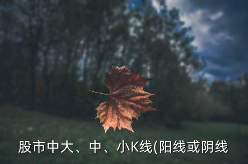 股市中大、中、小K線(陽線或陰線