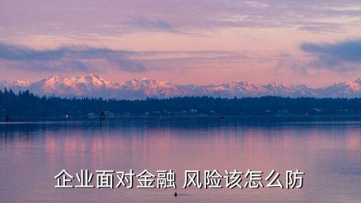 企業(yè)面對金融 風險該怎么防